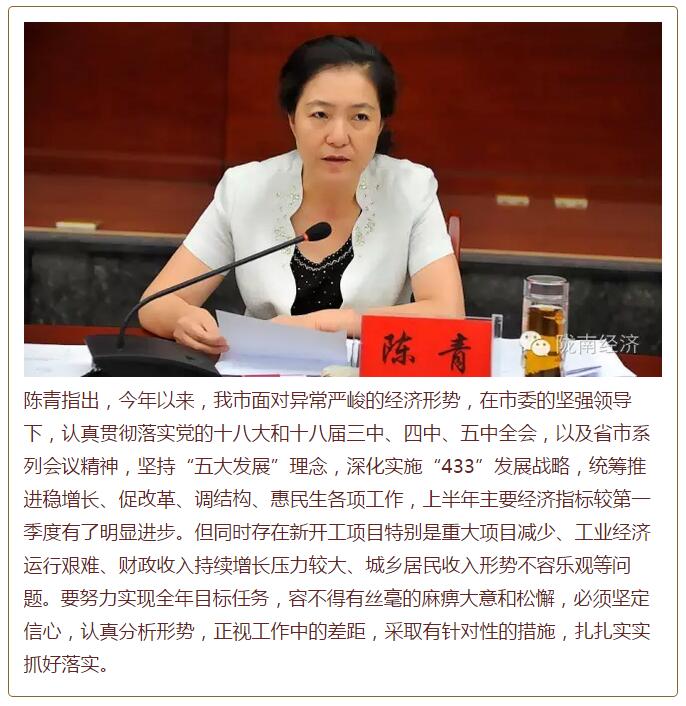陳青在市政府全體會議上強調：緊盯一個目標抓好九大任務落實強化三項保障，確保全市經(jīng)濟社會持續(xù)快速發(fā)展