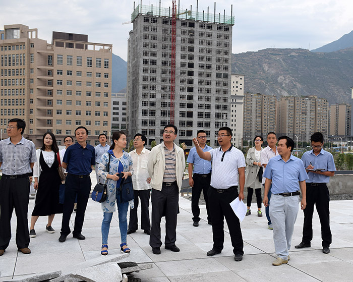 省、市聯(lián)合工作組蒞臨階州廣場檢查指導工作
