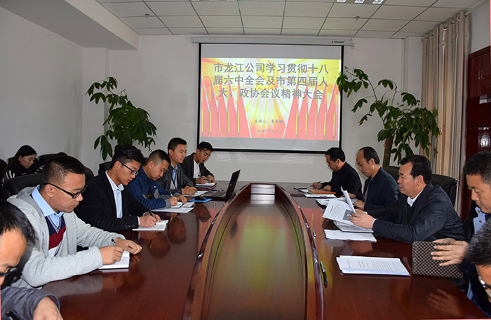 市龍江公司召開全體員工大會，專題傳達學習上級會議精神